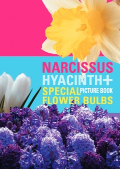 Narcissus și Hyacinth Picture Book